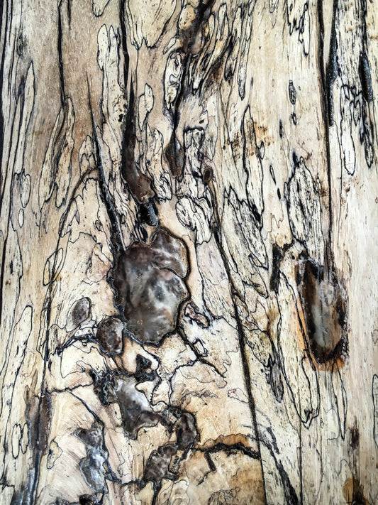Wood Texture