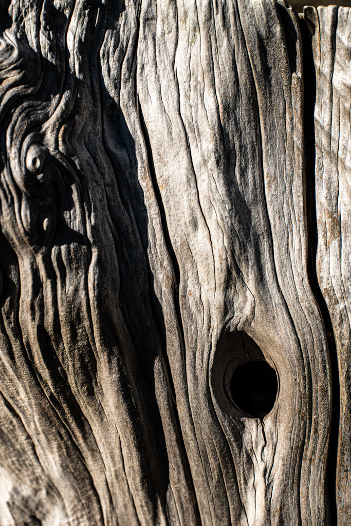 Wood Texture