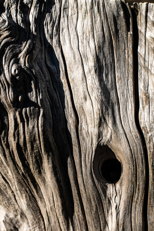 Wood Texture