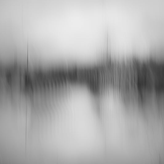 Nocturnal II