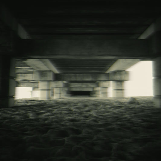 Shelter