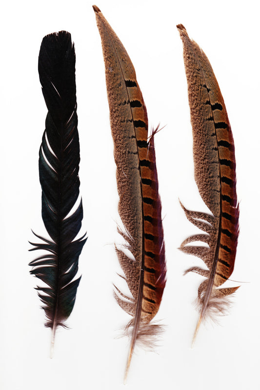Three Feathers