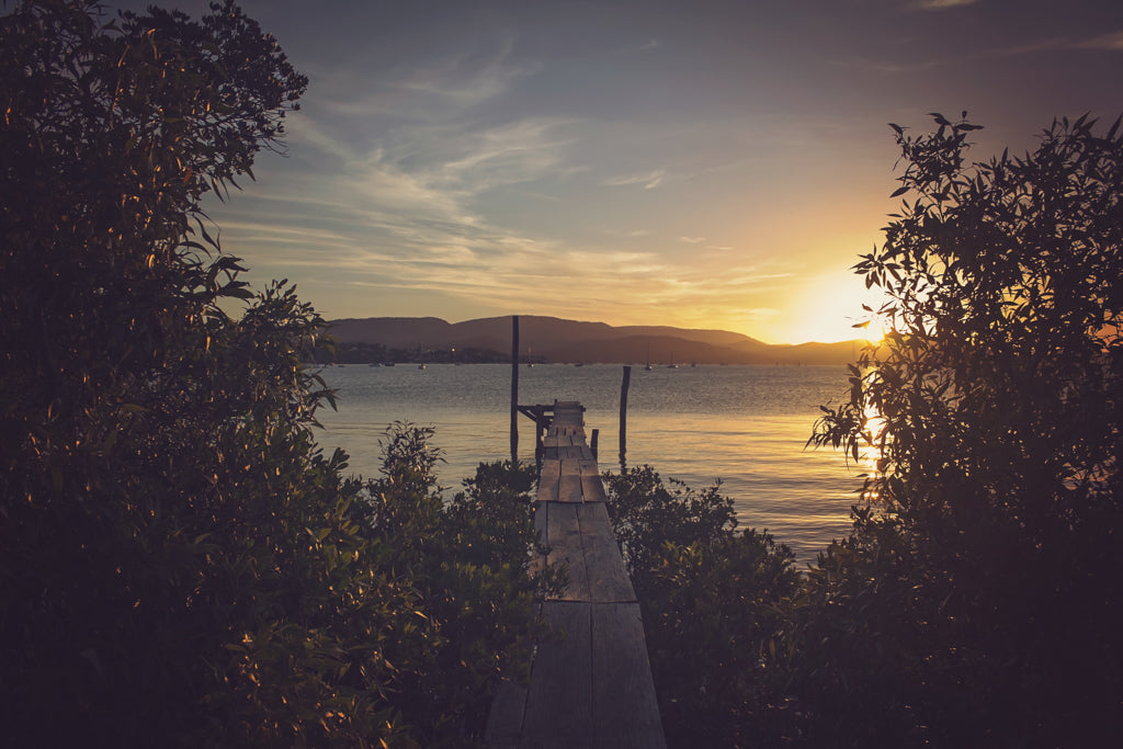 Pier at the Lake