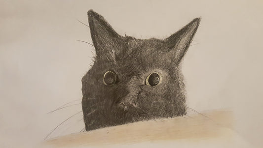 Black Cat