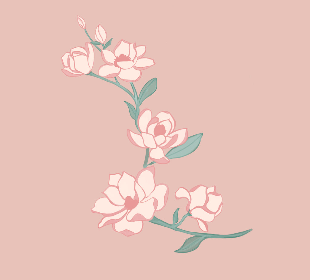 Magnolia