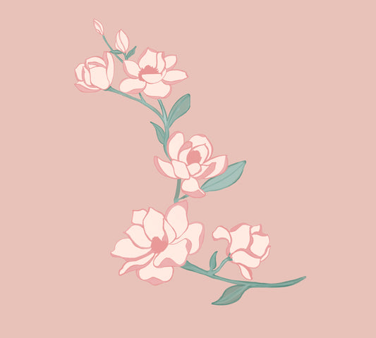 Magnolia